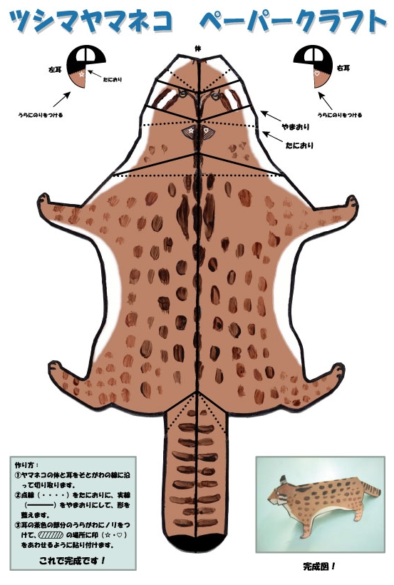 ツシマヤマネコ ペーパークラフトのデータです