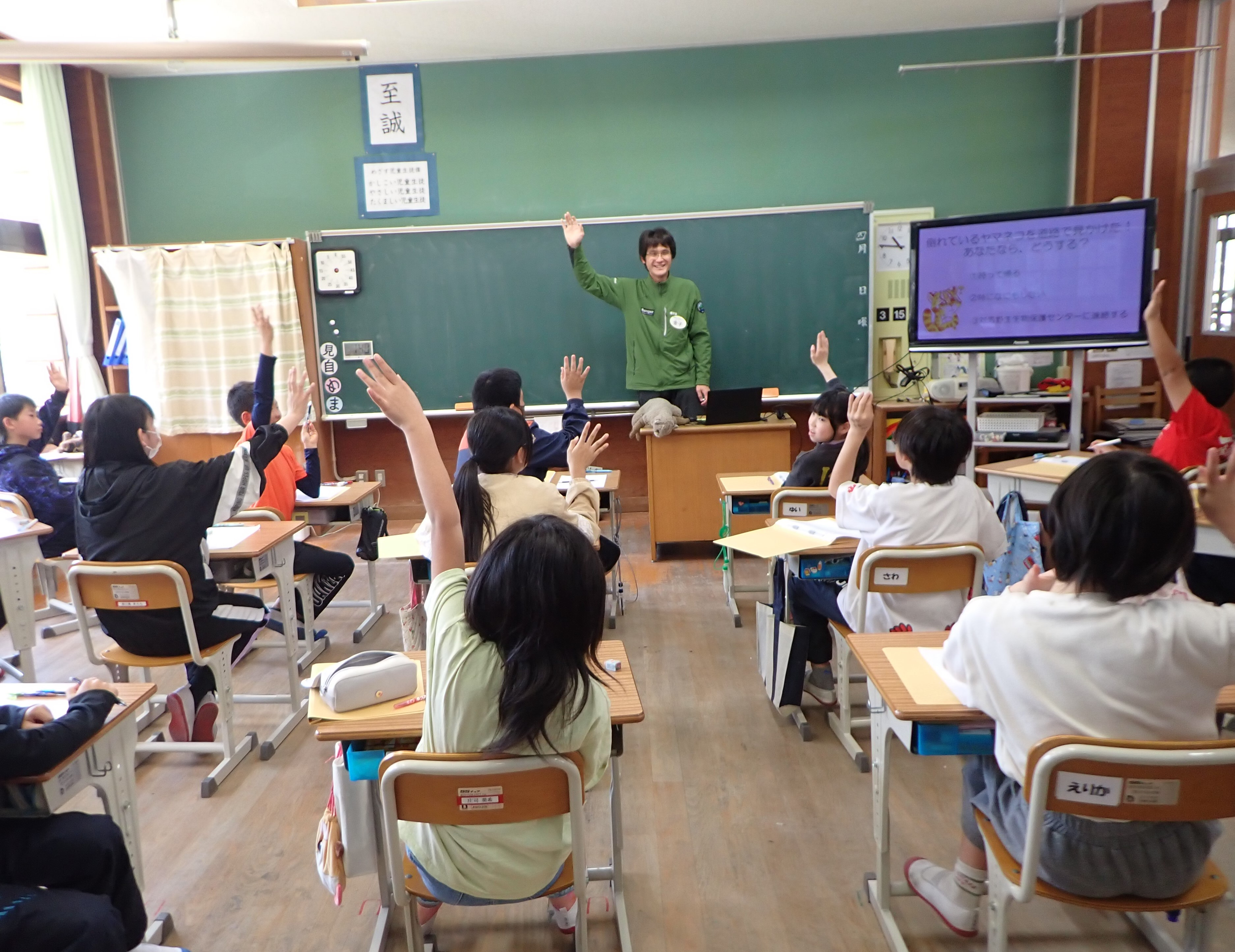 学校の教室で行われている「出張ヤマネコ教室」の写真。職員からの質問に生徒が答えをするため手を上げています