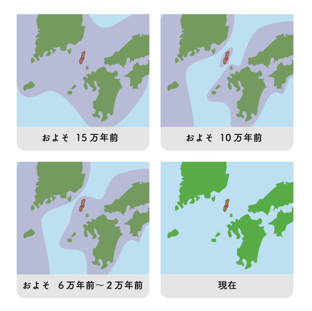 約15万年前まで大陸と日本列島は陸続きであり、様々な生き物が移動していた。約10万年前に大陸と別れ、約2万年前以降に現在のような島となった。